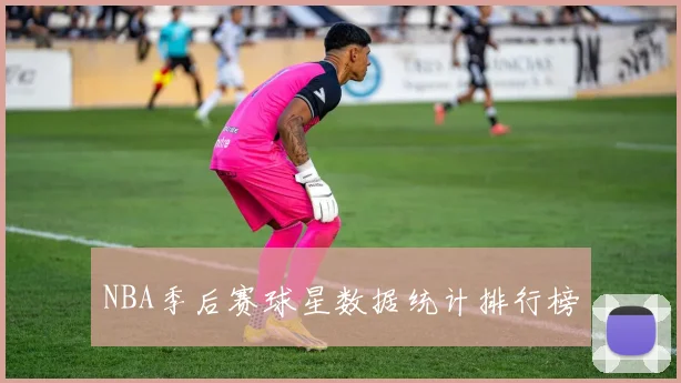 NBA季后赛球星数据统计排行榜