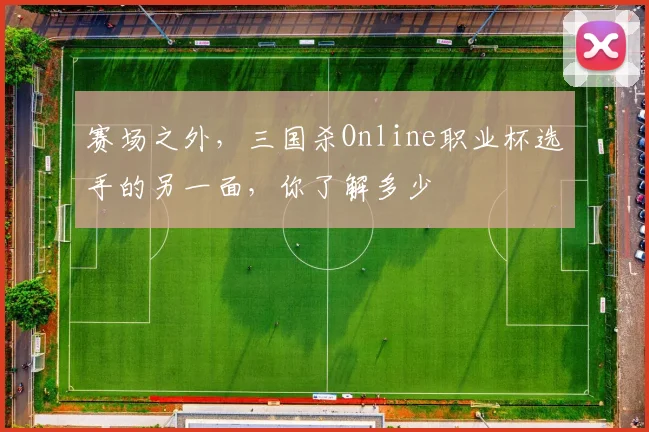 赛场之外，三国杀Online职业杯选手的另一面，你了解多少