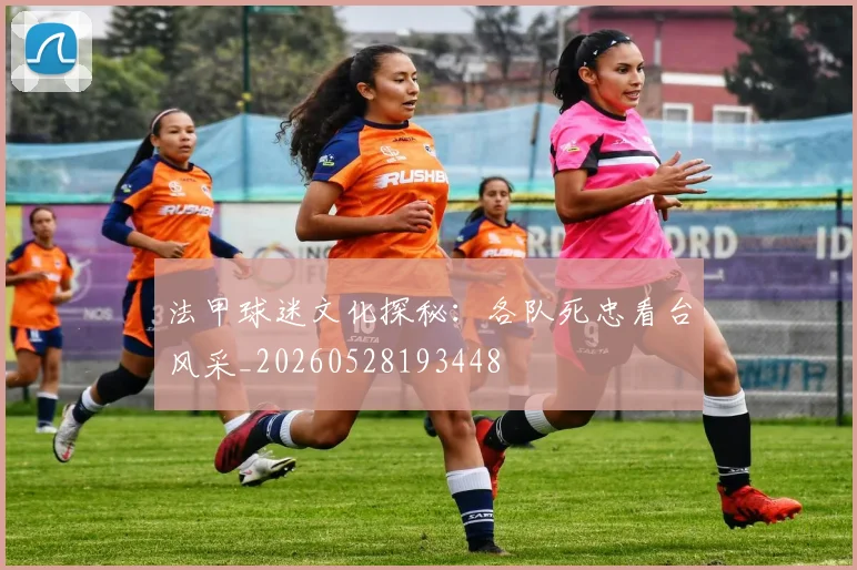 法甲球迷文化探秘:各队死忠看台风采_20260528193448