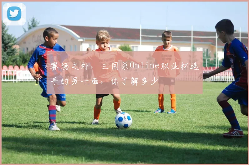 赛场之外，三国杀Online职业杯选手的另一面，你了解多少